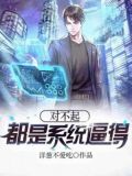 对不起,有系统