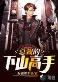 总裁的下山高手txt全集下载
