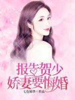 报告首长:娇妻已到位全文免费阅读
