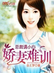 总裁请小心:娇妻难训 台之梦