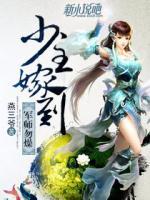 少主嫁到,军师勿燥 燕三爷