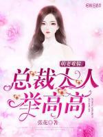 萌妻萌萌哒总裁举高高