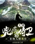 大唐：虎痴当侍卫，拒绝入朝为官