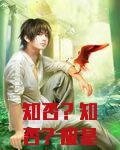 知否？知否？应是绿肥红瘦