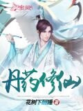 丹药修仙