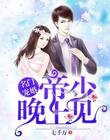 名门宠婚：帝少，晚上见