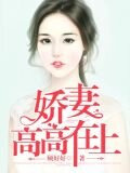 娇妻高高在上(又名:总裁轻点宠)