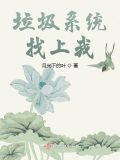 垃圾系统找上我