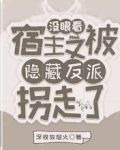 没眼看宿主又被隐藏反派拐走了