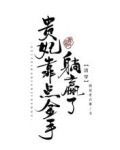 清穿：贵妃靠点金手躺赢了
