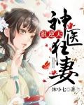 神医狂妻很逆天(又名:鬼才医妃倾天下)