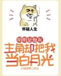 明明是炮灰，主角却把我当白月光