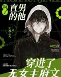 疯了，直男的他穿进了无女主府文