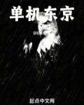 单机东京