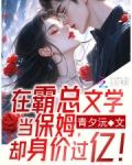 在霸总文学当保姆，却身价过亿！